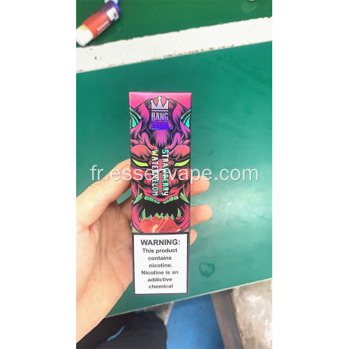 Bang 10000 Puffs Disposable Vape Rechargeable Suède